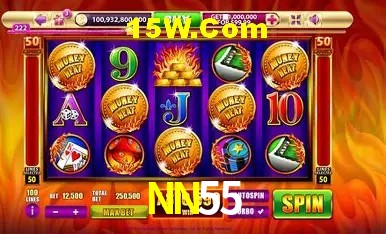 Login Seguro NN55