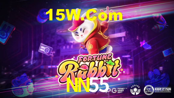 NN55